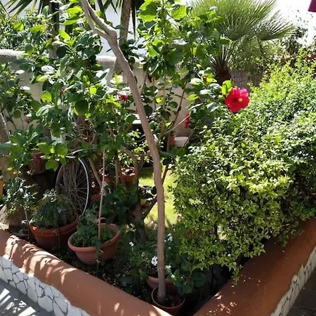 Gollai House Appartement *