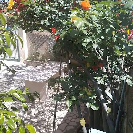 Daire Gollai House *