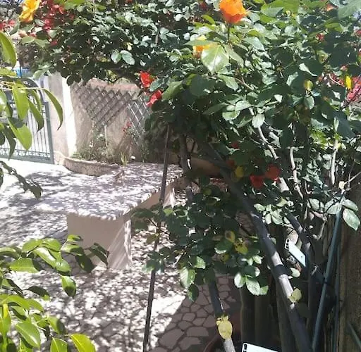 Apartament Gollai House *
